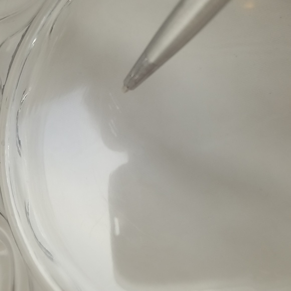 Duncan Miller Caribbean Flared Console Bowl - Picture 15 of 16